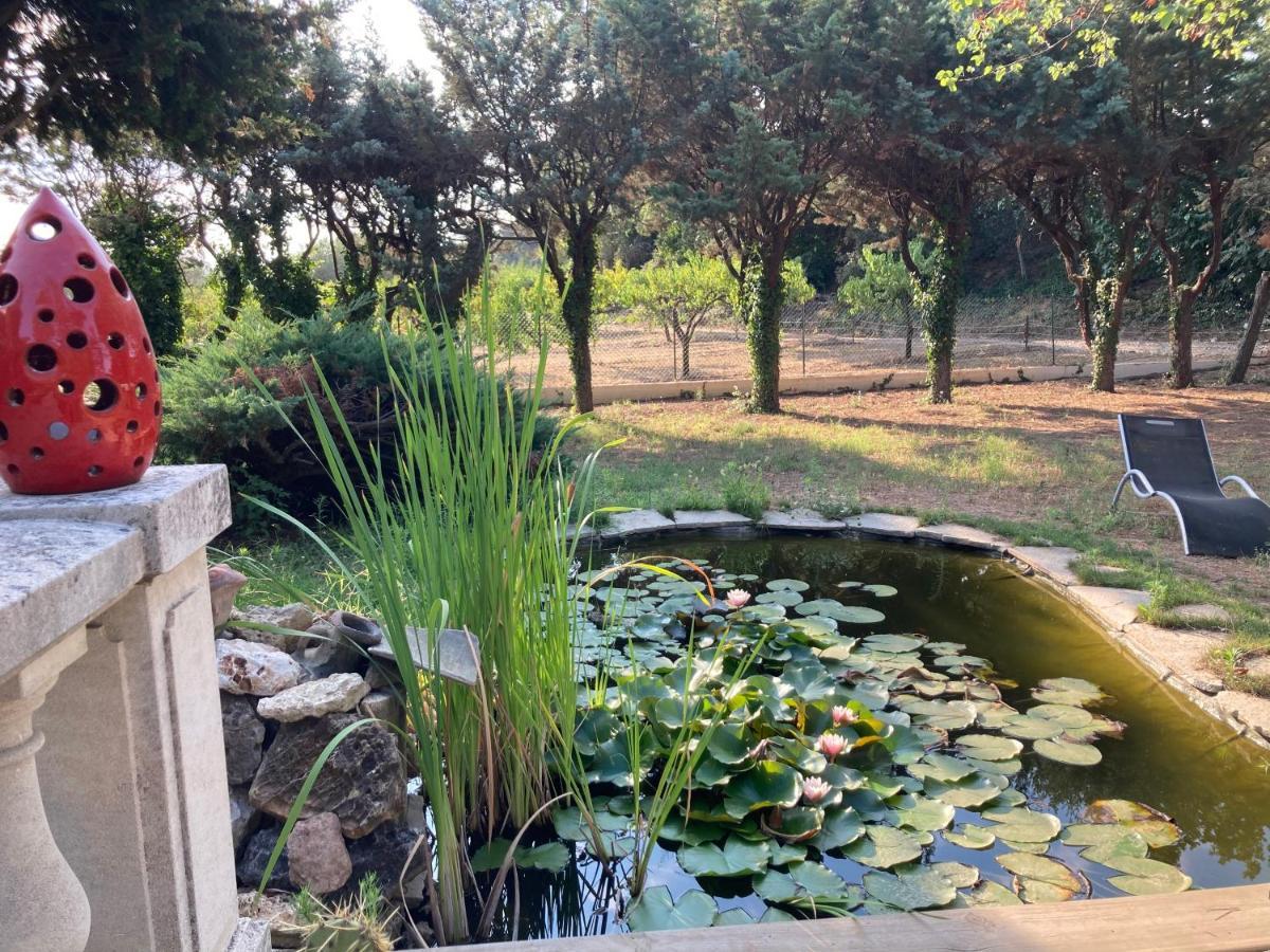 Le Chene Et L'Eau Bed and Breakfast Roquebrune-sur-Argens Eksteriør billede